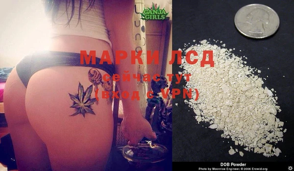 PSILOCYBIN Алексеевка