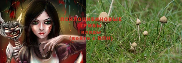 PSILOCYBIN Алексеевка