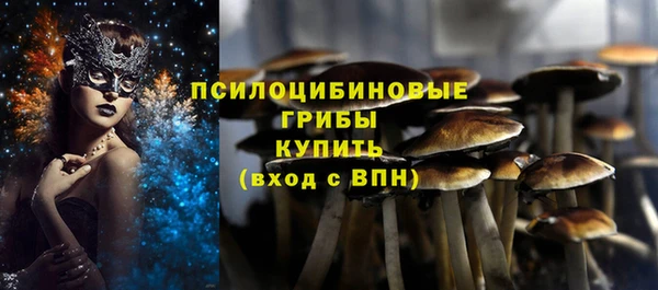 PSILOCYBIN Алексеевка