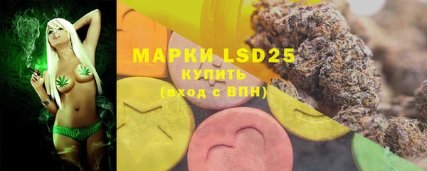 PSILOCYBIN Алексеевка