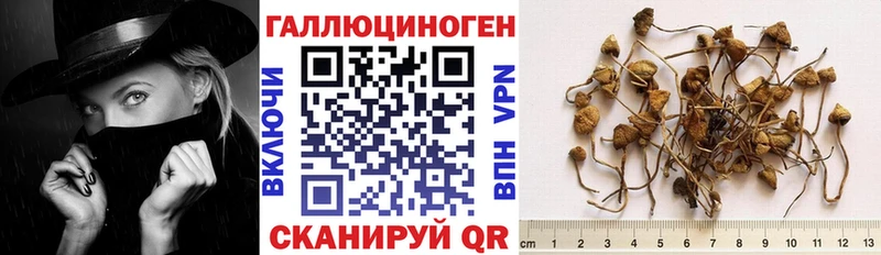 где найти Ефремов мориарти телеграм Галлюциногенные грибы GOLDEN TEACHER